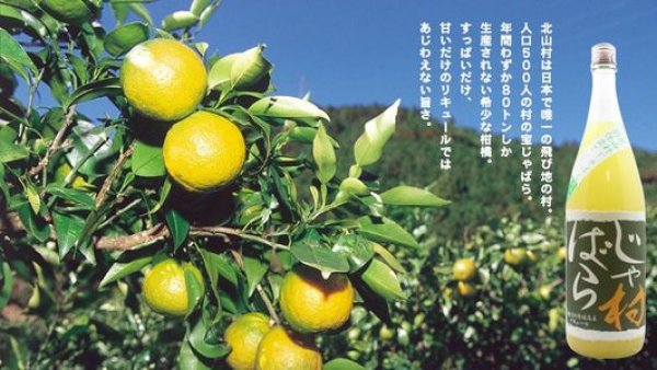 画像3: じゃばら村 別仕立て ジャバラ酒 720ml or 1800ml 吉村秀雄商店 (3)