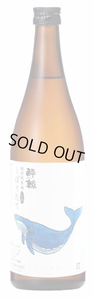 画像2: 酔鯨 特別純米酒 しぼりたて 生酒 720ml or 1800ml 【30BY】 (2)