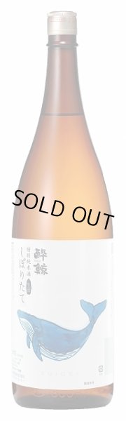 画像1: 酔鯨 特別純米酒 しぼりたて 生酒 720ml or 1800ml 【30BY】 (1)