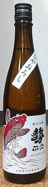 画像2: 勢正宗 Autumn carp 純米吟醸無濾過火入れ ひやおろし 720ml or 1800ml 令和6BY (2)