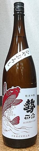 画像1: 勢正宗 Autumn carp 純米吟醸無濾過火入れ ひやおろし 720ml or 1800ml 令和6BY (1)