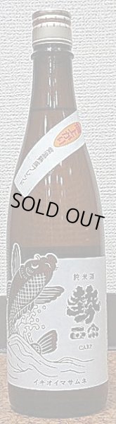 画像2: 勢正宗 純米酒 常温熟成ブレンド 燗上がり 720ml or 1800ml (2)