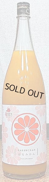 画像2: 福招き はるみかん 720ml or 1800ml【木村飲料】 (2)