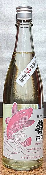 画像2: 勢正宗 Spring carp 純米吟醸 無濾過生原酒 720ml or 1800ml 令和6BY (2)