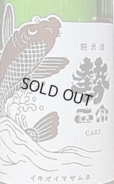 画像2: 勢正宗 carp 純米無濾過生原酒 720ml R2BY (2)
