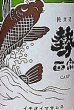 画像2: 勢正宗 carp  おりがらみ 純米無濾過生原酒 720ml or 1800ml R1BY (2)