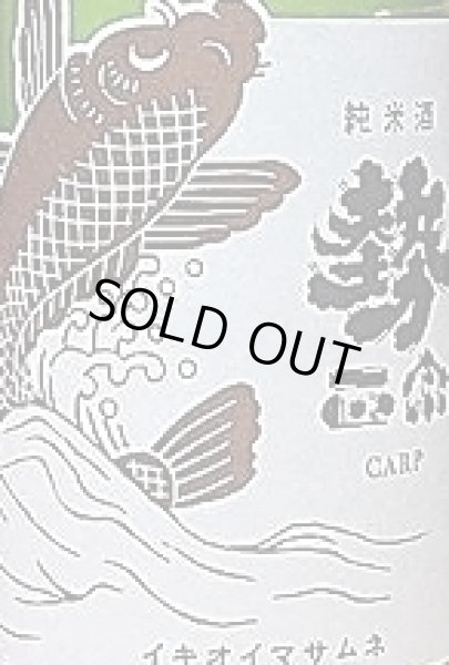 画像2: 勢正宗 carp  おりがらみ 純米無濾過生原酒 720ml or 1800ml R1BY (2)