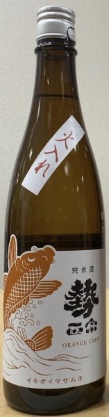 画像1: 勢正宗 純米酒 Orange CARP 720ml or 1800ml 令和6BY (1)