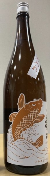 画像2: 勢正宗 純米酒 Orange CARP 720ml or 1800ml 令和6BY (2)