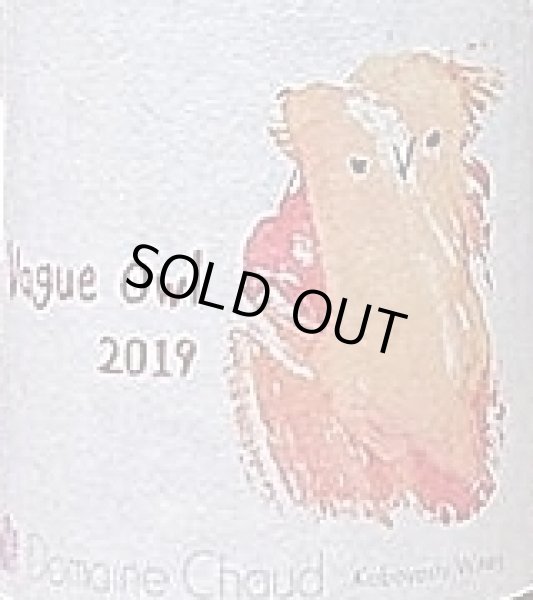 画像2: ドメーヌ・ショオ VagueOwl 2019 750ml (2)