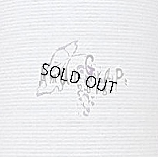 画像2: ヒトミワイナリー Amur Grape アムール グレープ 2018 720ml (2)