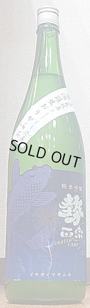 画像1: 勢正宗 Omatsuri carp 純米吟醸 無濾過生原酒 おりがらみ 720ml or 1800ml 令和6BY (1)