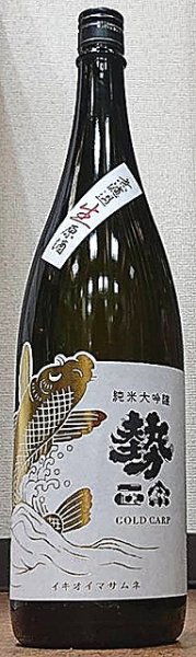 画像1: 勢正宗 Gold carp 純米大吟醸 無濾過 生原酒 720ml or 1800ml 令和5BY (1)