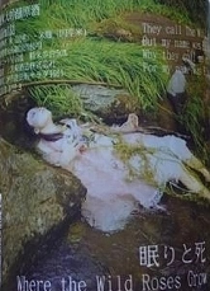 画像3: 三芳菊 純米大吟醸 眠りと死 720ml or 1800ml 2022年産 (3)