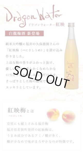 画像2: 永平寺白龍 梅酒 Dragon Water BENISASHI 紅映 500ml (2)