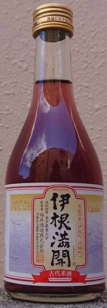 画像1: 伊根満開 300ml 2025年製造年月 (1)