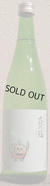 画像2: 萩の鶴 純米吟醸別仕込 ハロウィン猫ラベル 720ml or 1800ml R4BY (2)
