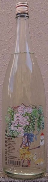 画像1: 三芳菊 令和5BY 純米吟醸 無濾過 生原酒 冬の白ぶどう 2023 720ml or 1800ml (1)