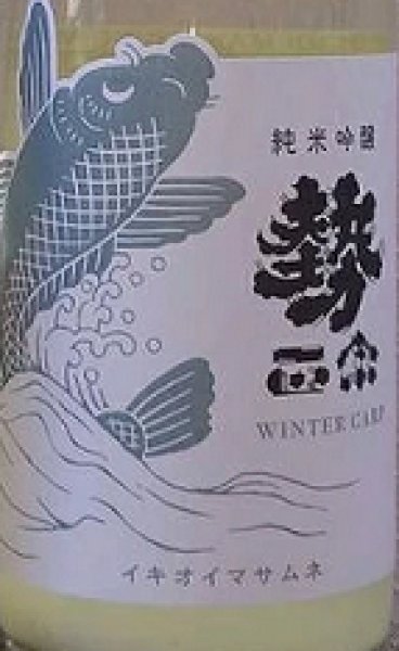 画像2: 勢正宗 Winter CARP 純米吟醸 無濾過生原酒 おりがらみ 720ml or 1800ml 令和6BY (2)