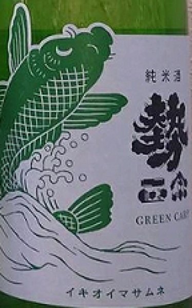 画像2: 勢正宗 Green carp 純米酒 無濾過生原酒 720ml or 1800ml 令和7BY 2026年 (2)
