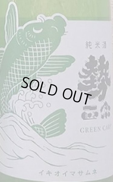 画像2: 勢正宗 Green carp 純米無濾過生原酒 おりがらみ 720ml or 1800ml R6BY 2025年 (2)