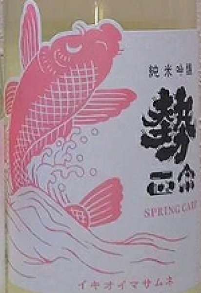 画像2: 勢正宗 Spring carp 純米吟醸 無濾過生原酒 おりがらみ 720ml or 1800ml 令和6BY (2)