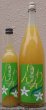 画像1: 道灌 初果凛々 500ml or 1800ml ブランデーベースの河内晩柑のお酒 (1)