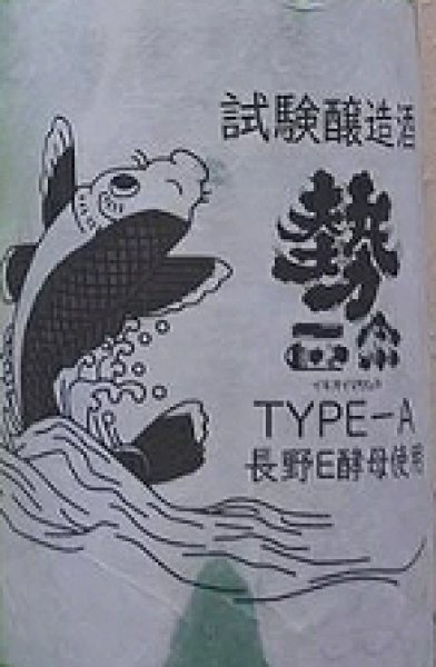 画像2: 勢正宗 試験醸造酒 TYPE-A 無濾過 生原酒 720ml or 1800ml 令和6BY (2)