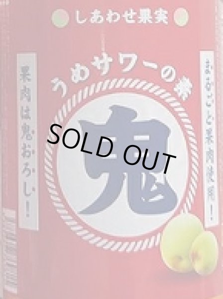 画像3: しあわせ果実 鬼おろし うめサワーの素 720ml or 1800ml (3)