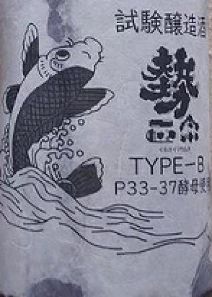 画像2: 勢正宗 試験醸造酒 TYPE-B 無濾過 生原酒 720ml or 1800ml 令和6BY (2)