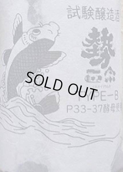 画像2: 勢正宗 試験醸造酒 TYPE-B 無濾過 生原酒 720ml or 1800ml 令和6BY (2)