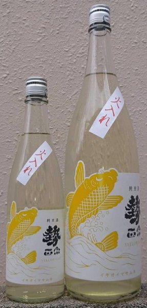 画像1: 勢正宗 純米酒 YELLOW CARP 瓶燗火入れ 720ml or 1800ml 令和6BY (1)