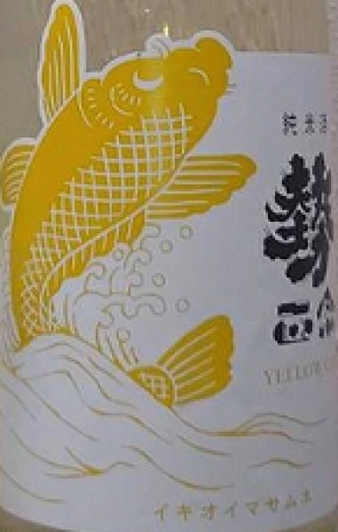 画像2: 勢正宗 純米酒 YELLOW CARP 瓶燗火入れ 720ml or 1800ml 令和6BY (2)