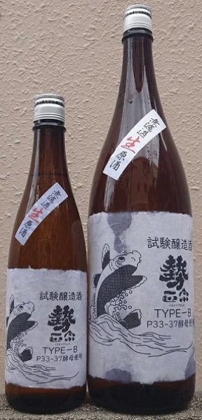 画像1: 勢正宗 試験醸造酒 TYPE-B 無濾過 生原酒 720ml or 1800ml 令和6BY (1)