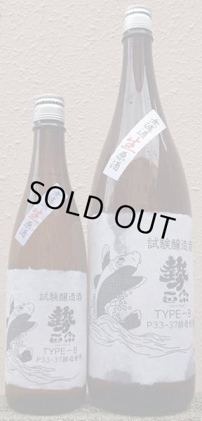 画像1: 勢正宗 試験醸造酒 TYPE-B 無濾過 生原酒 720ml or 1800ml 令和6BY (1)