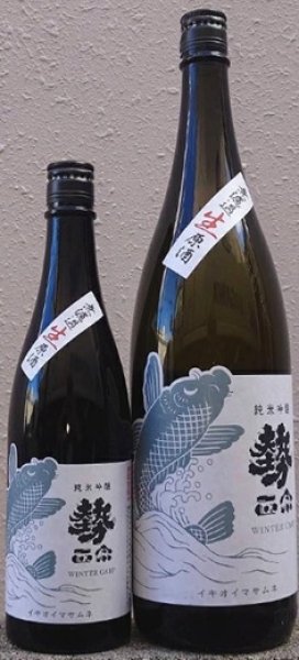 画像1: 勢正宗 Winter CARP 純米吟醸 無濾過生原酒 720ml or 1800ml 令和7BY (1)
