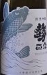 画像2: 勢正宗 Winter CARP 純米吟醸 無濾過生原酒 720ml or 1800ml 令和7BY (2)