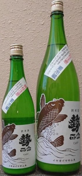 画像1: 勢正宗 carp おりがらみ 純米無濾過生原酒 720ml or 1800ml 令和7BY (1)