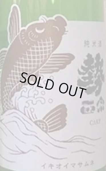 画像2: 勢正宗 carp 純米無濾過生原酒 720ml or 1800ml 令和7BY (2)