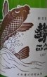 画像2: 勢正宗 carp おりがらみ 純米無濾過生原酒 720ml or 1800ml 令和7BY (2)