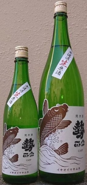 画像1: 勢正宗 carp 純米無濾過生原酒 720ml or 1800ml 令和7BY (1)