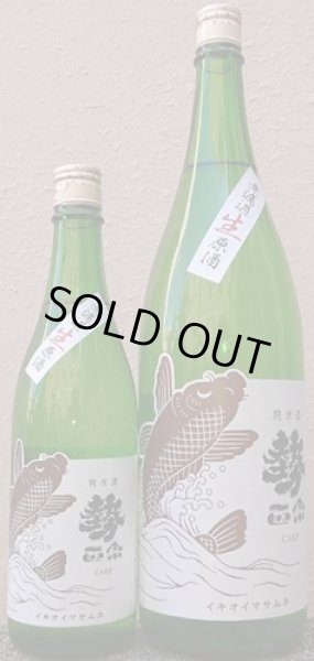 画像1: 勢正宗 carp 純米無濾過生原酒 720ml or 1800ml 令和7BY (1)