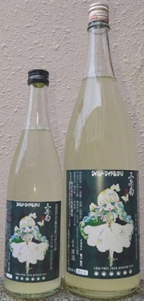 画像1: 三芳菊 純米吟醸 五百万石 無濾過 生原酒 おりがらみ 720ml or 1800ml 令和7BY (1)