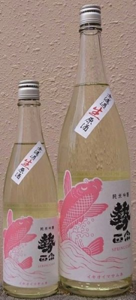画像1: 勢正宗 Spring carp 純米吟醸 無濾過生原酒 720ml or 1800ml 令和7BY (1)