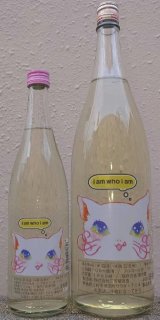 三芳菊 みよしきく KIT CAT!! キットカット 2026 純米吟醸 無濾過 生