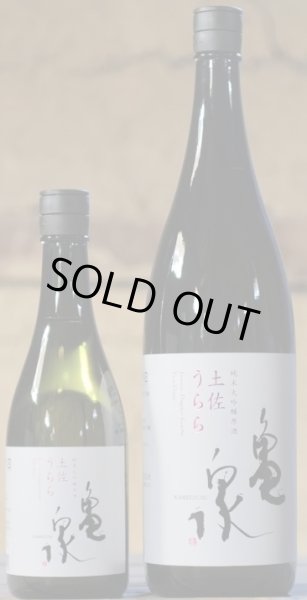 画像2: 亀泉 純米大吟醸原酒 土佐うらら 720ml or 1800ml 令和7BY 箱入り (2)