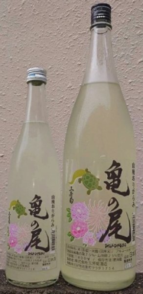画像1: 三芳菊 山廃造り 亀の尾 無濾過 生原酒 おりがらみ 720ml or 1800ml 令和7BY (1)