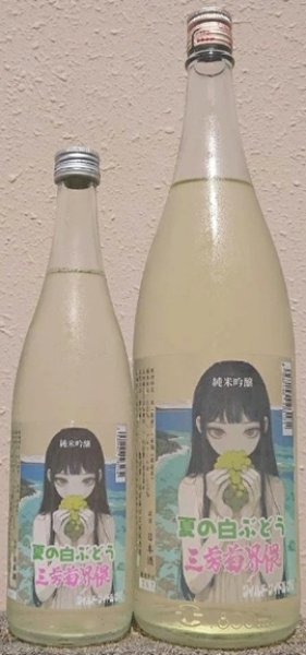 画像1: 三芳菊 夏の白ぶどう 純米吟醸 無濾過 生原酒 720ml or 1800ml 令和7BY (1)