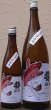 画像1: 勢正宗 APPLE CARP 純米吟醸 無濾過生原酒 720ml or 1800ml 令和7BY (1)