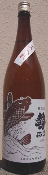 画像1: 勢正宗 CARP 純米酒 火入 1800ml 令和7BY (1)